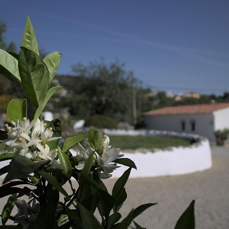 Suite Swimming Pool Quinta Da Eira 140 Years Old ローレ エクステリア 写真